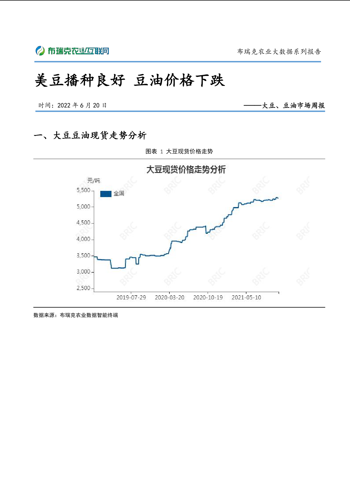 报告