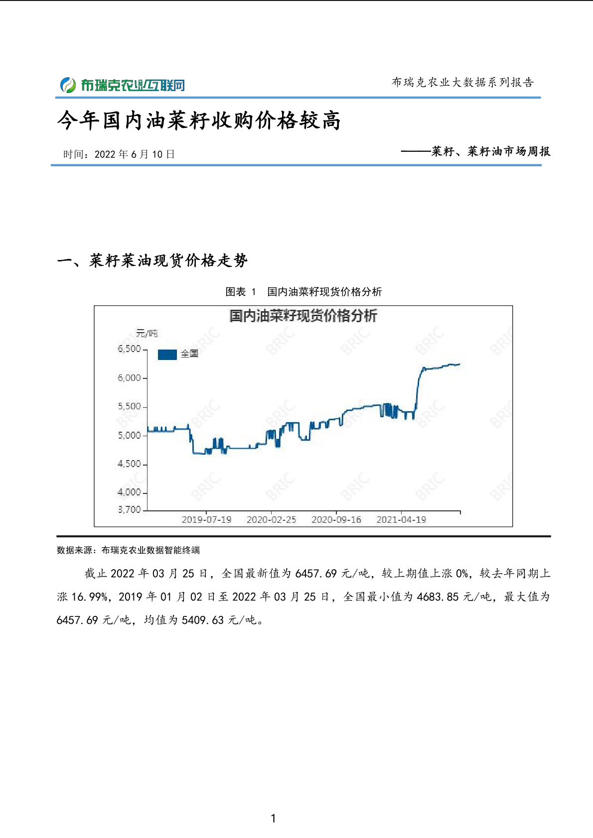 报告