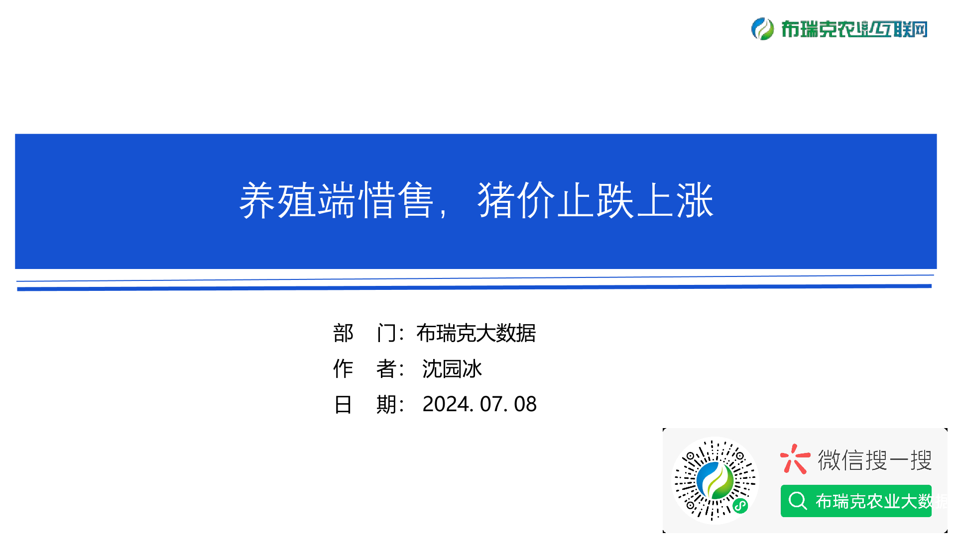 报告