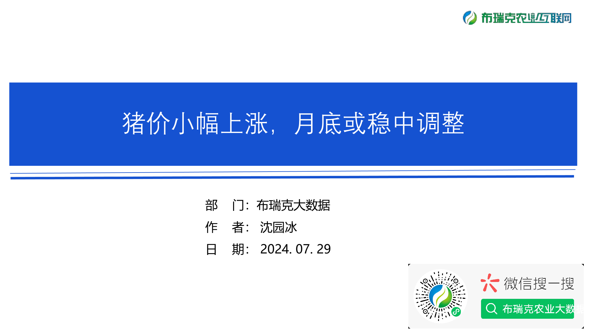 报告