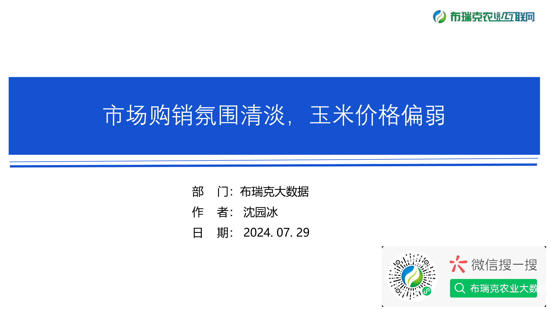 报告